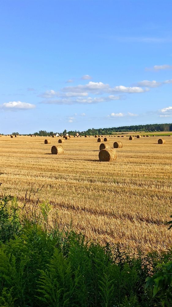 Photograph by Людмила Щуцкая