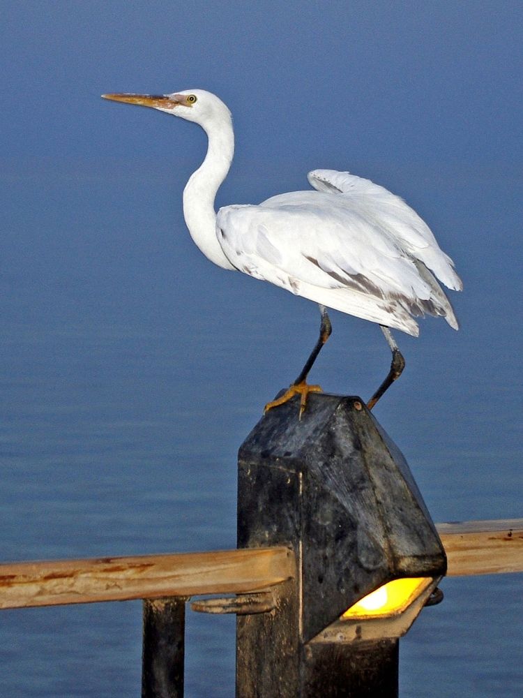 Photograph by Александр Копылов