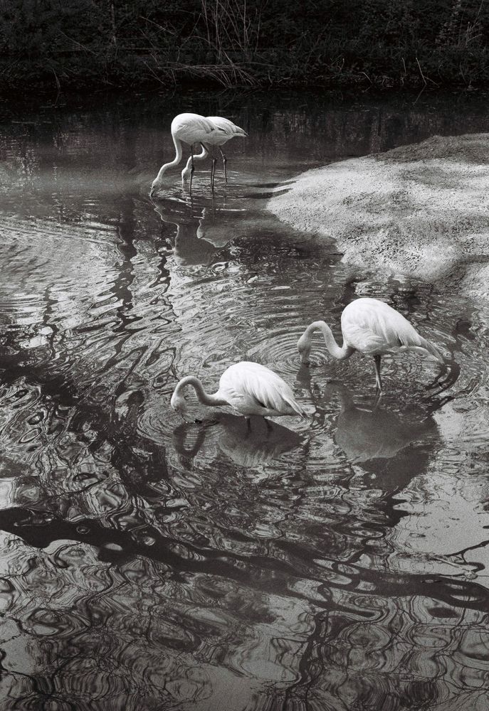 Photograph by Alena Pauts