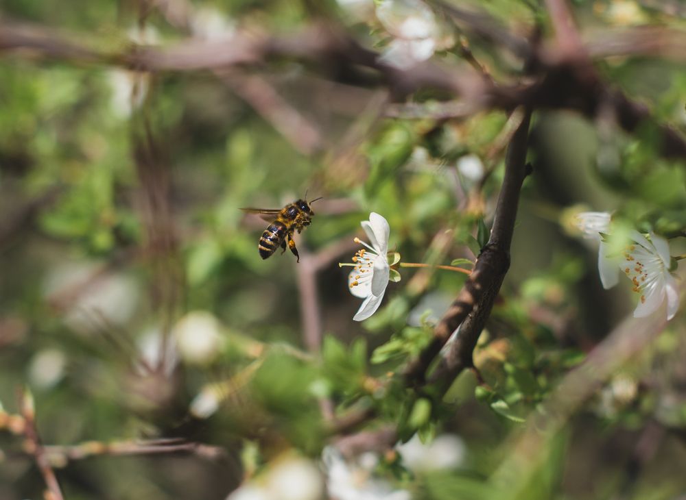 Photograph by Галина Еровенко