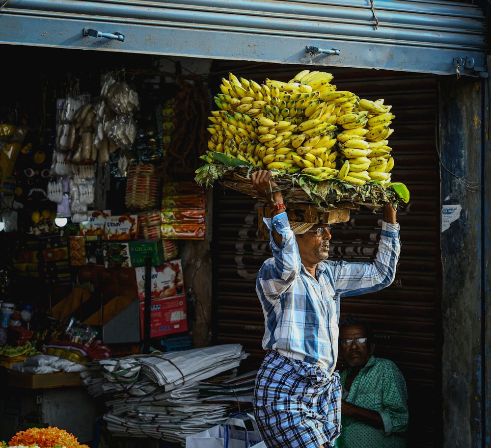 Photograph by Vignesh P Hegde