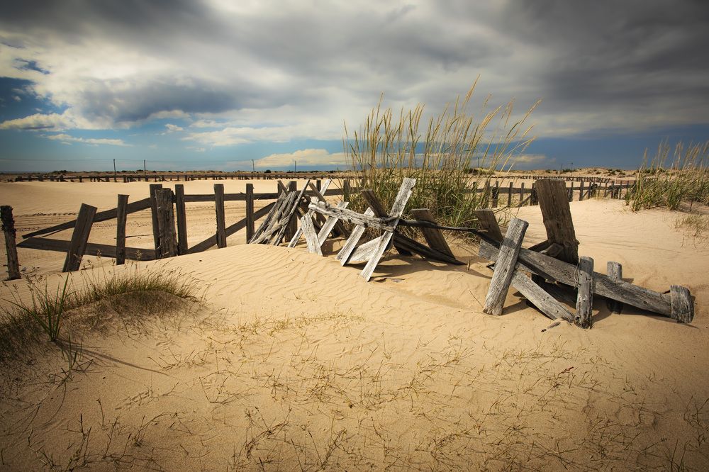 Кузоменские пески