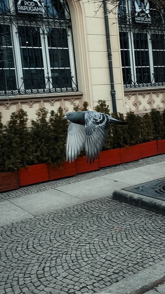 Photograph by Julia Mironenko