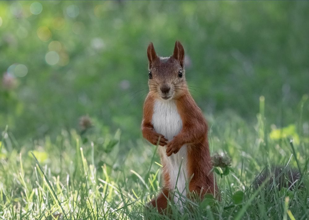 Photograph by Тамара Вотинцева