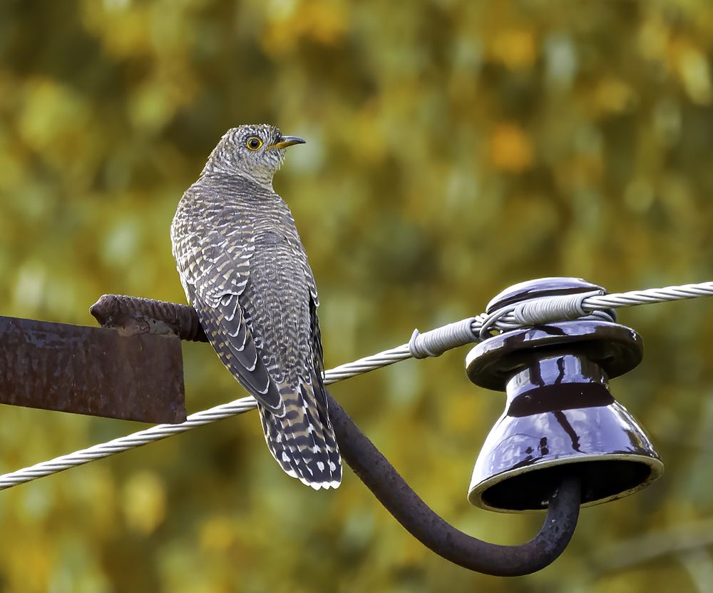 Photograph by Михаил Ездаков