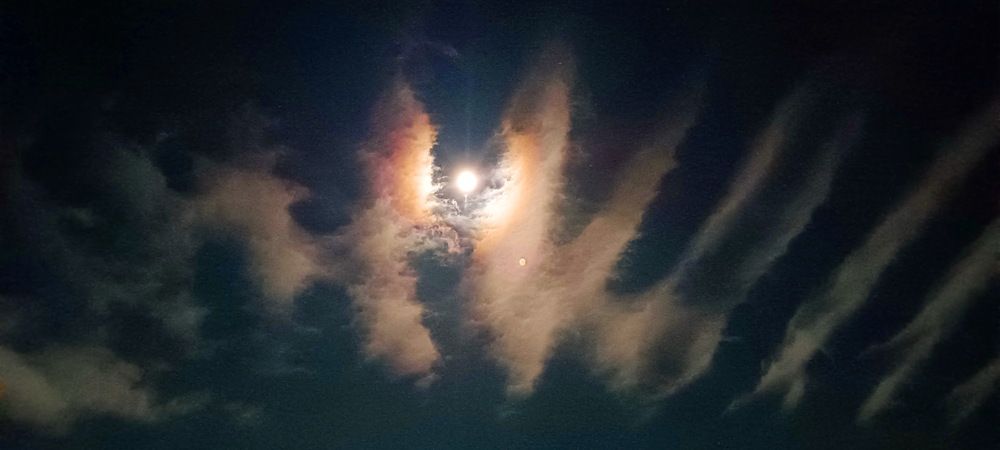 Photograph by вячеслав милов