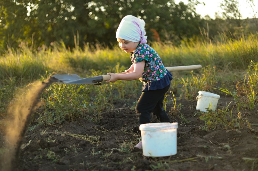Чтобы не заснуть от скуки, я возьму лопату в руки!