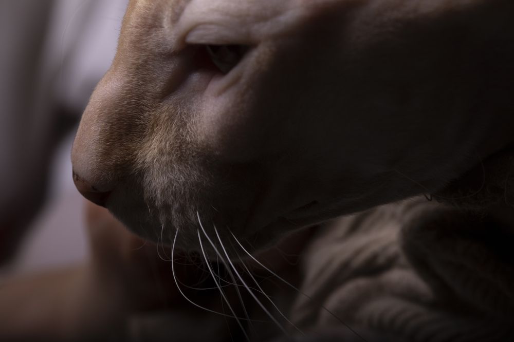 Photograph by Игорь Разенков