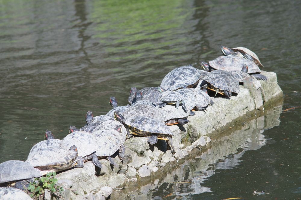 Photograph by Артём Пархоменко