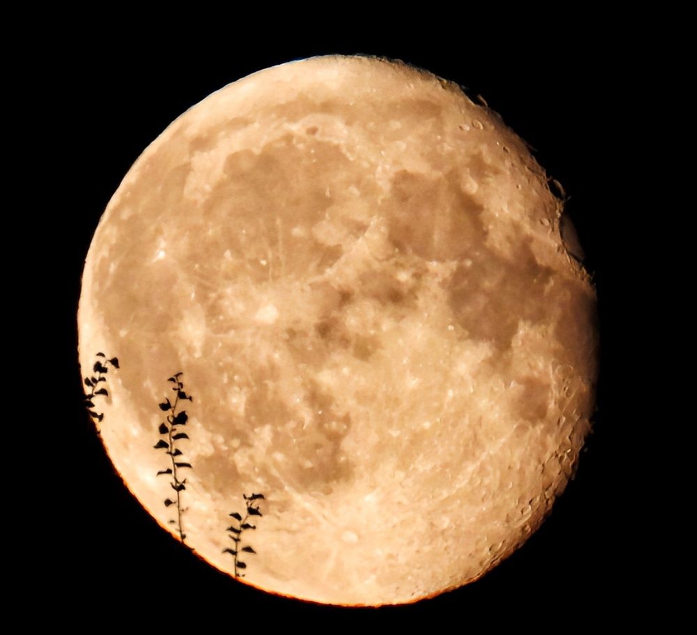 Photograph by Александр Шаварин