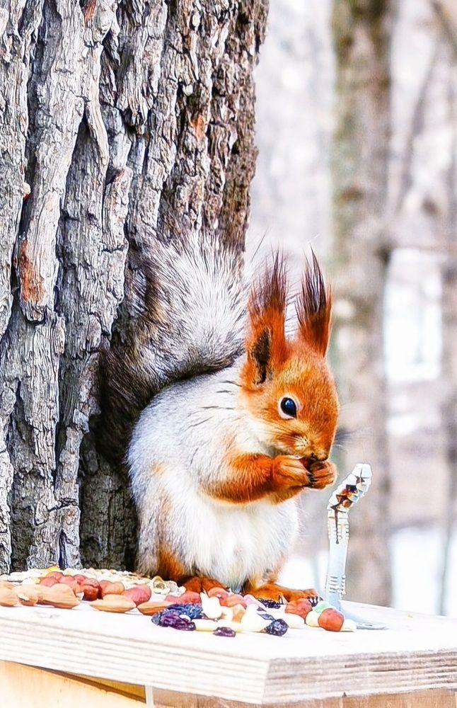 Photograph by Эльвира Куликова