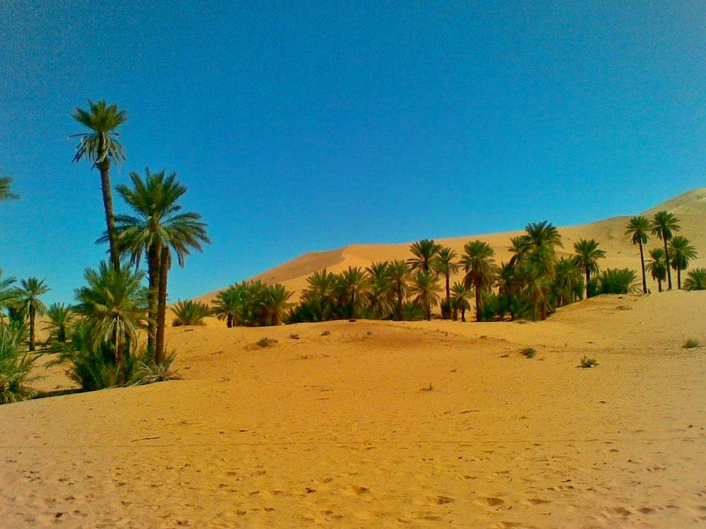 Photograph by Azzeddine Memmou