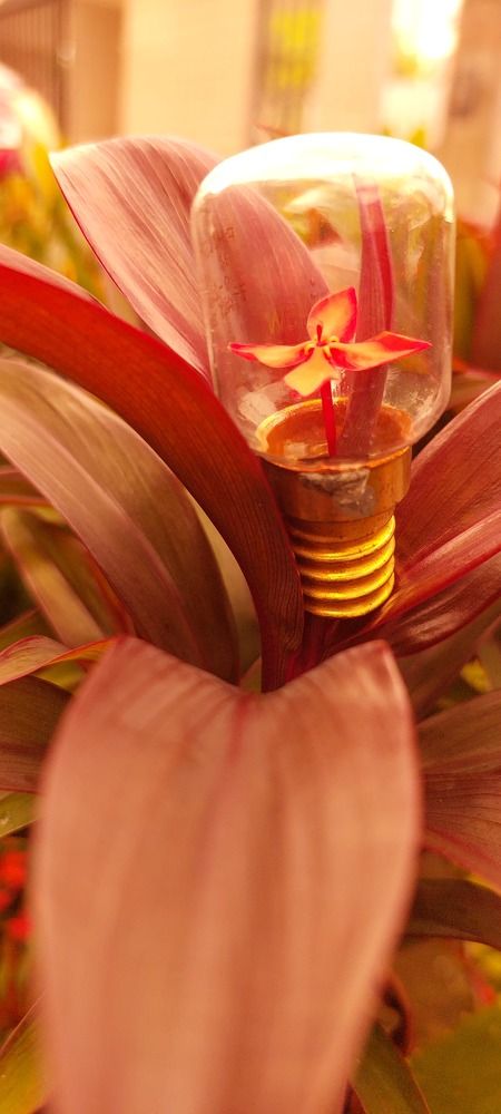 Photograph by CRINALDO REIS