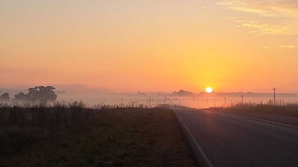 Фотография автора gustavo pecelis