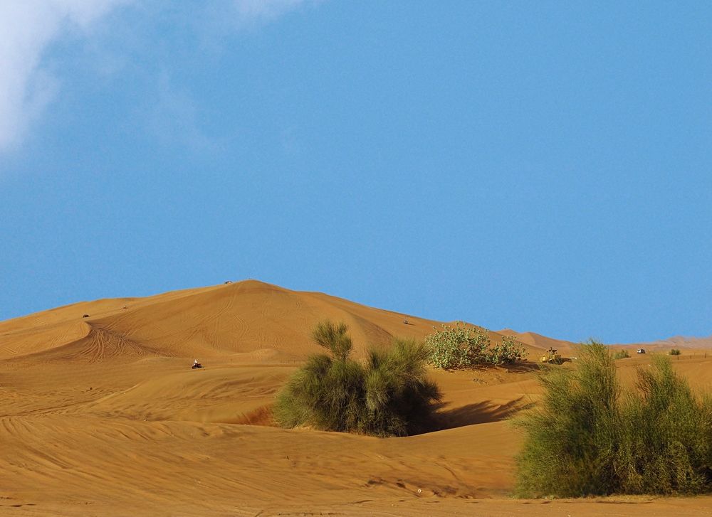 Photograph by Hilary McShine