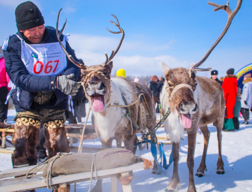 Photograph by Михаил Мархинин