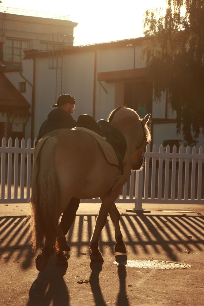 Photograph by Валерия Лунина