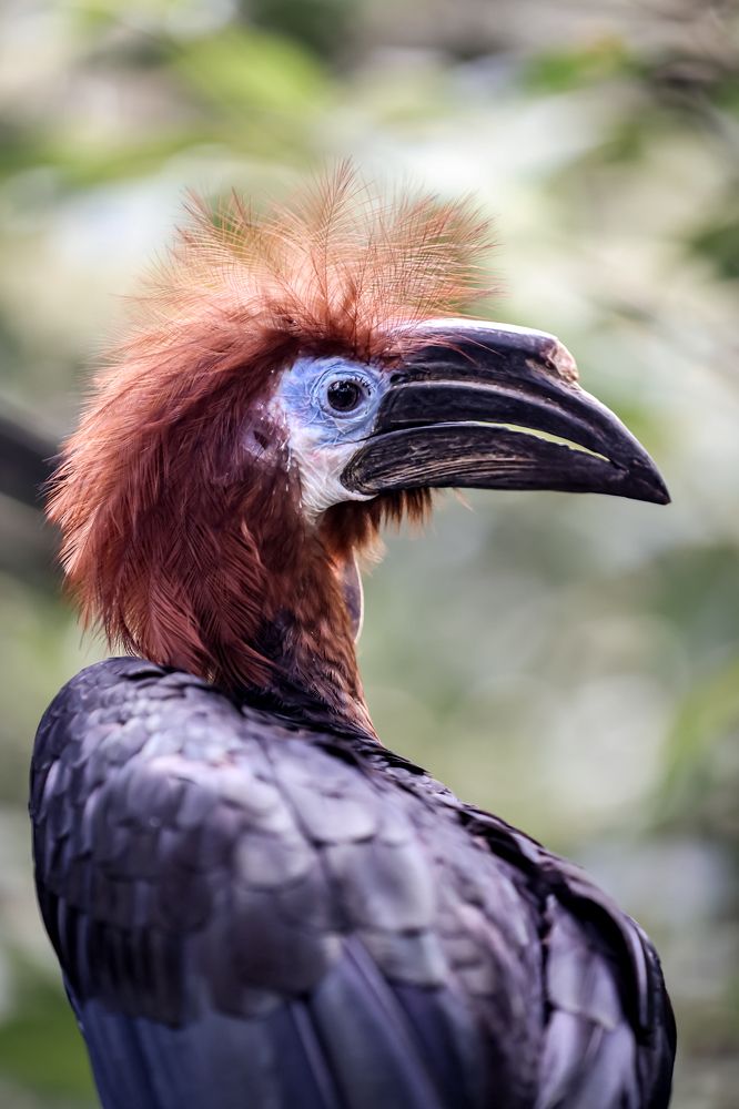 Photograph by Елена Цырюк