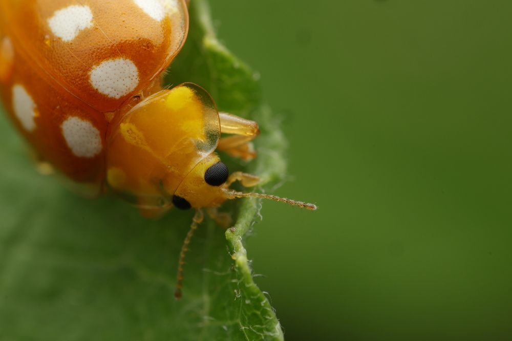 Photograph by Andrei Sabanov