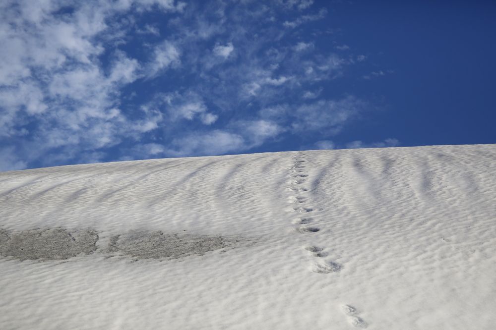 Photograph by Андрей Миронов