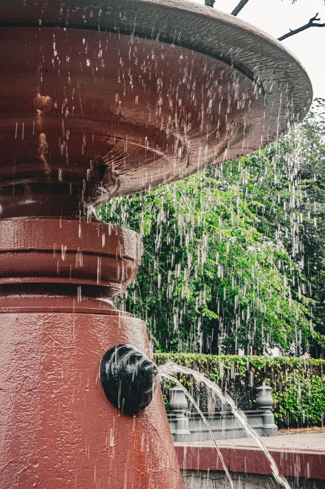 Photograph by Владимир Сушкин