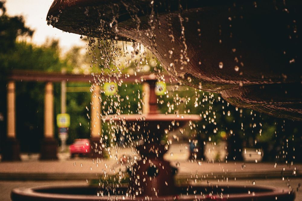 Photograph by Владимир Сушкин