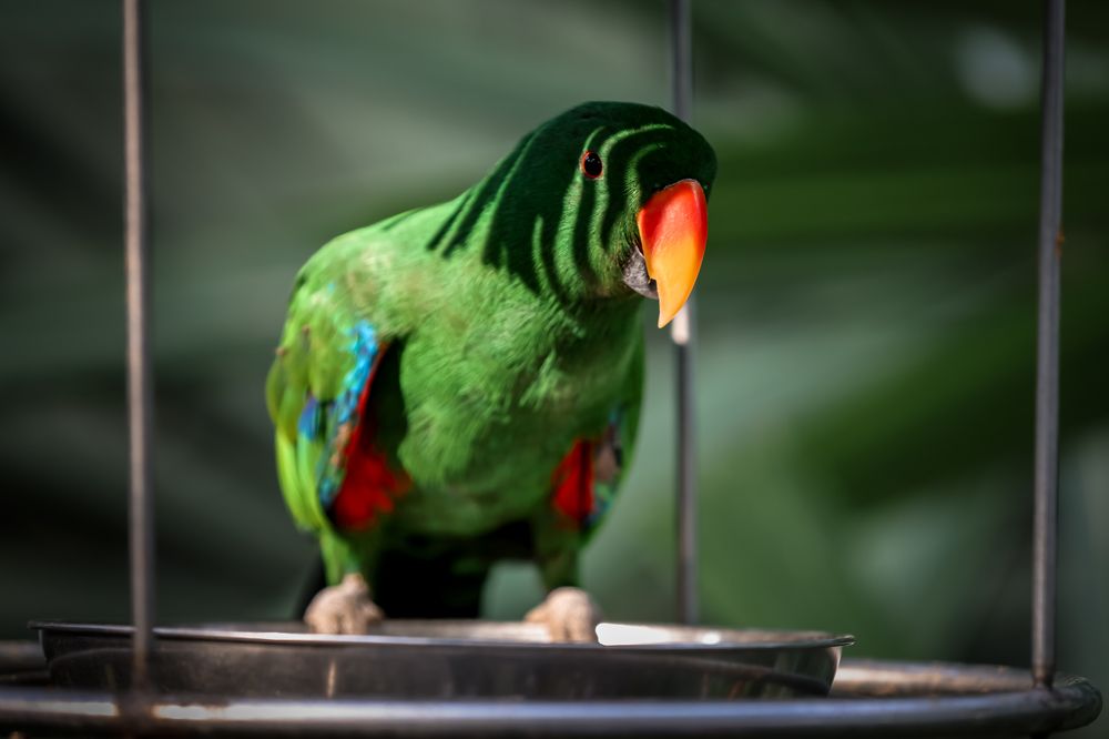 Photograph by Елена Цырюк