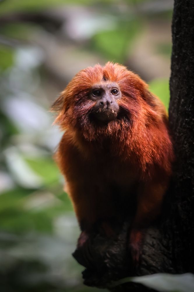 Photograph by Елена Цырюк