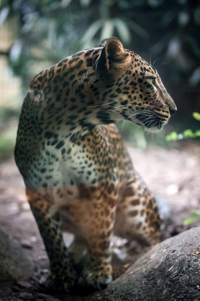 Photograph by Елена Цырюк