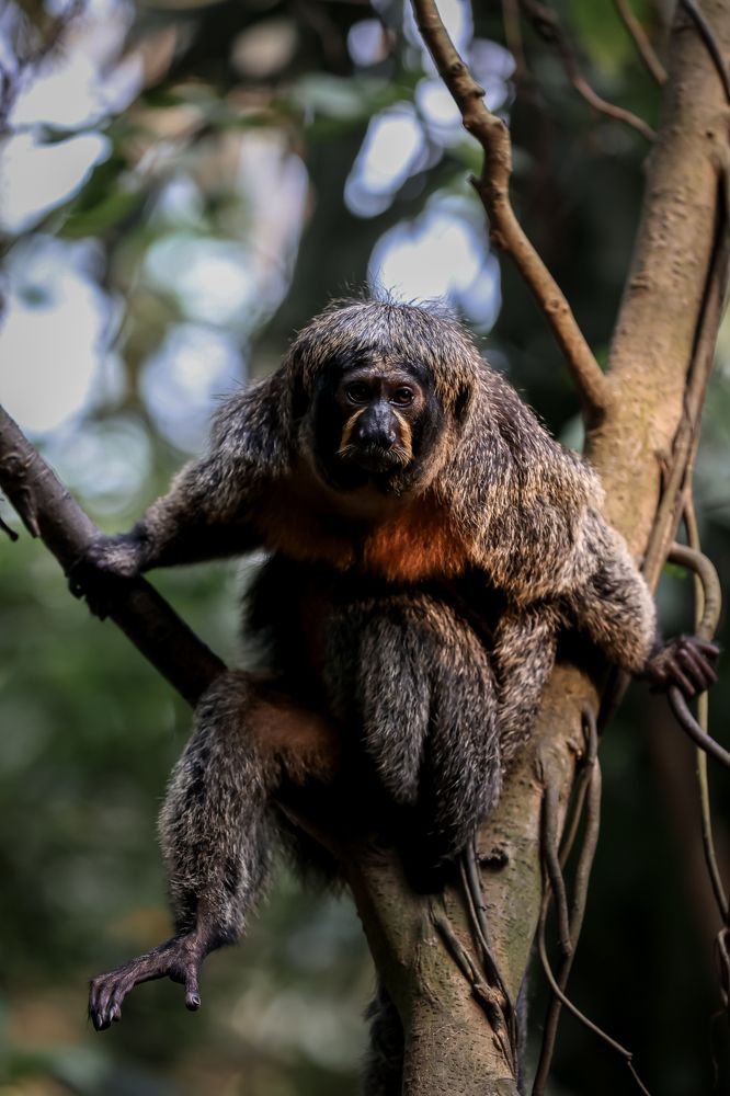 Photograph by Елена Цырюк