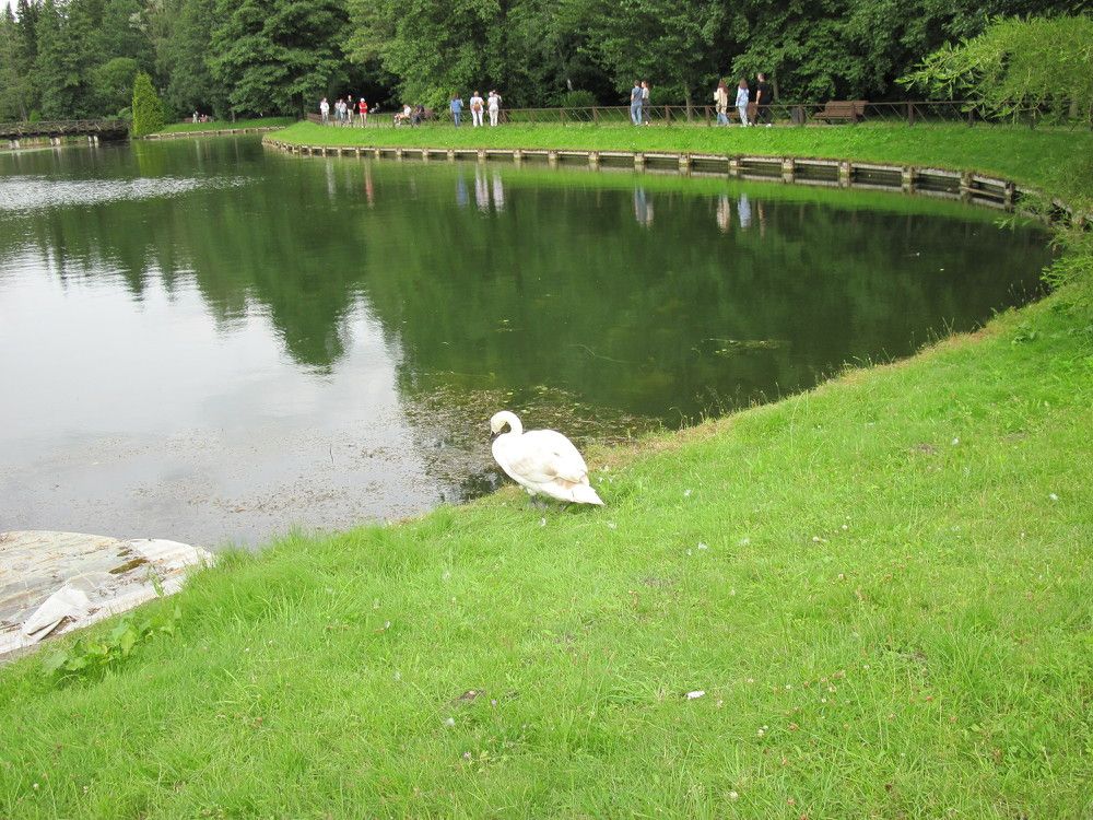 Фотография автора Георгий Самусевич