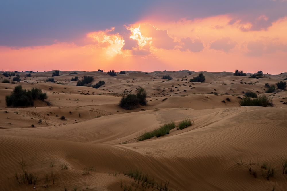 Photograph by Ilya Stolov