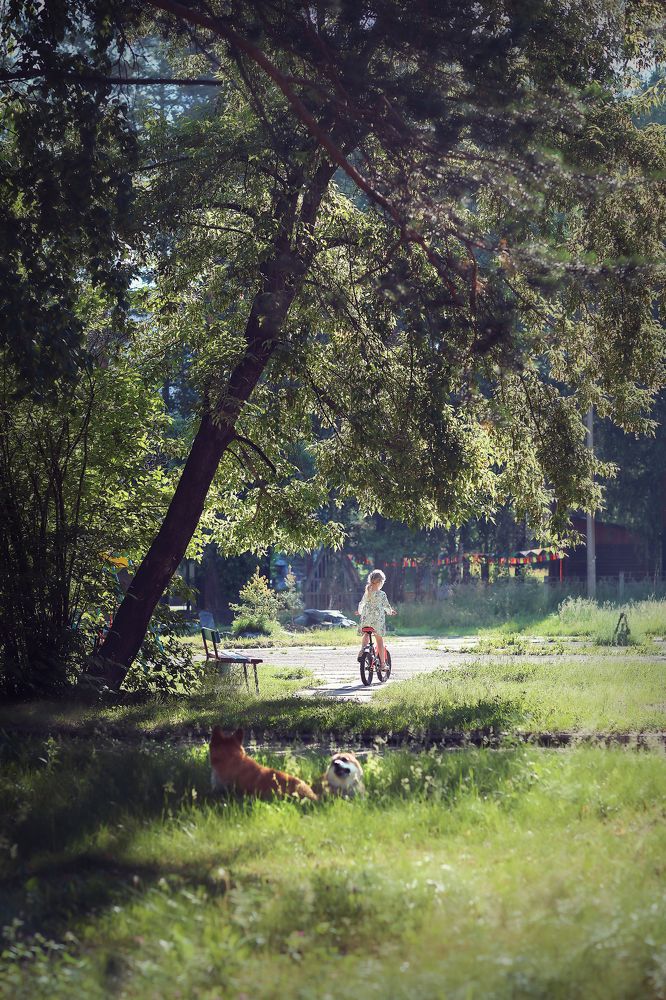 Фотография автора Галина Аверьянова