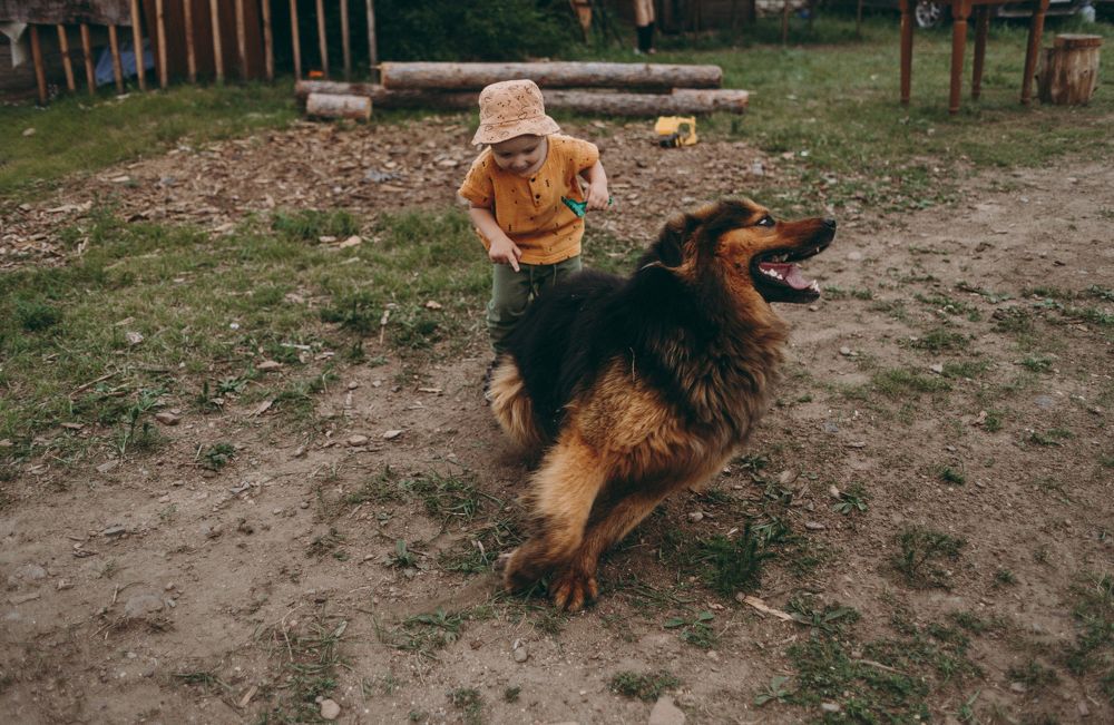 Photograph by Анастасия Алекминская