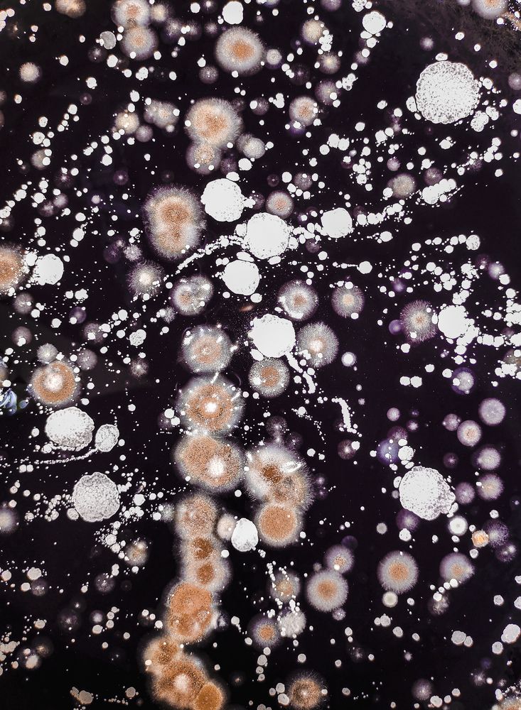 Фотография автора Sahil Kundu