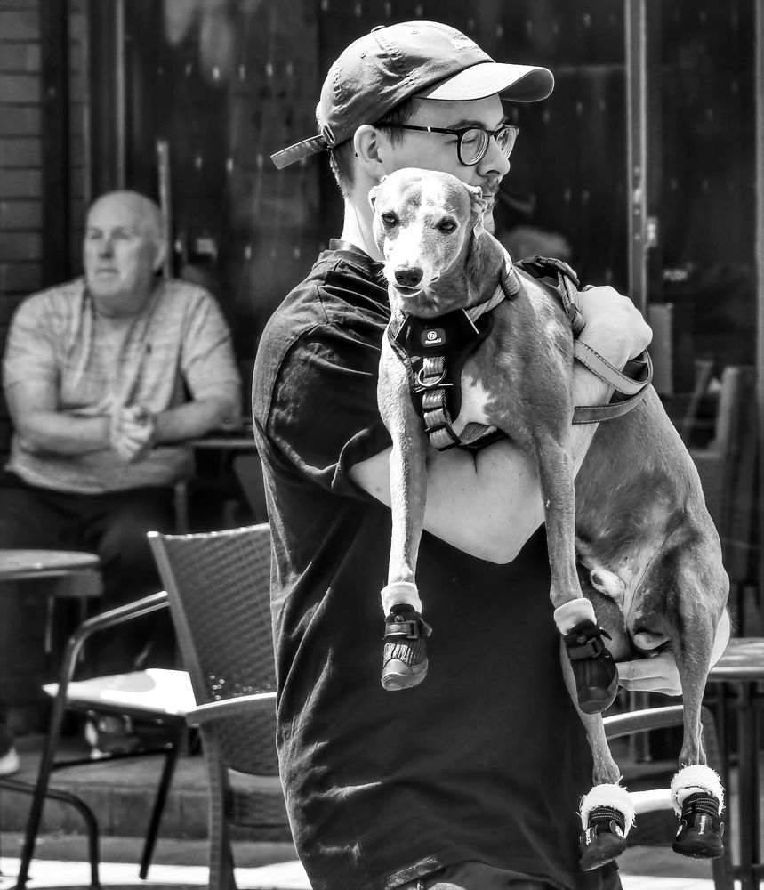 Photograph by Balcetis Audrius