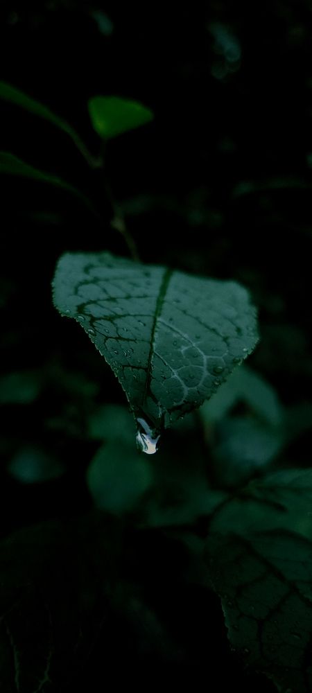 Photograph by Ирина Яковлева