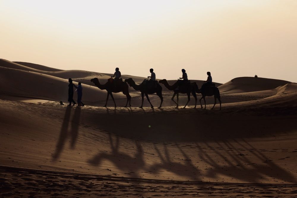 Photograph by Ольга Одаренко