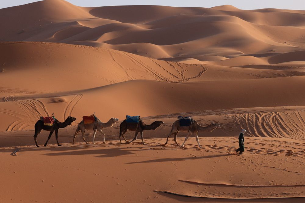 Photograph by Ольга Одаренко