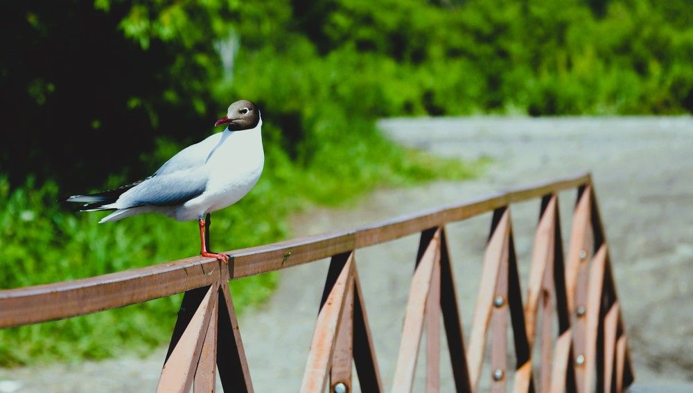 Photograph by Ения Семина