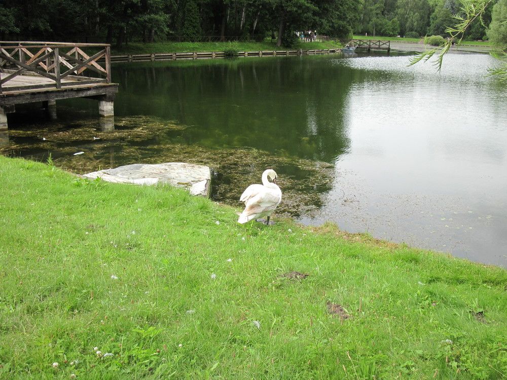 Фотография автора Георгий Самусевич