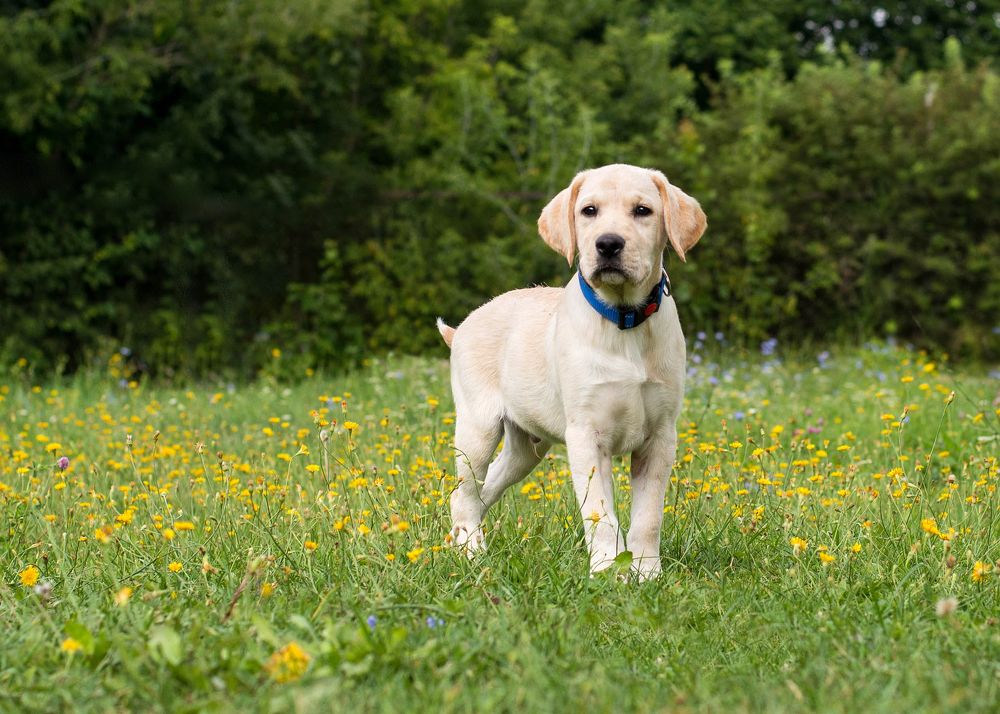 Photograph by Екатерина