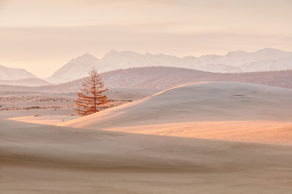 Photograph by Максим Евдокимов
