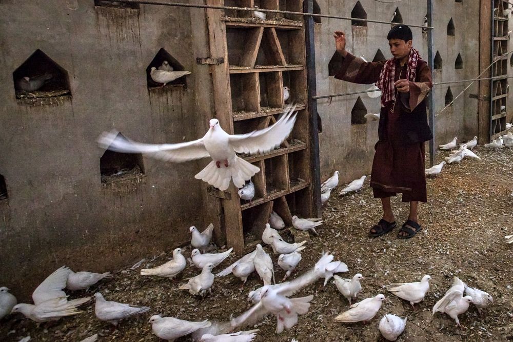 Photograph by Алексей Мараховец