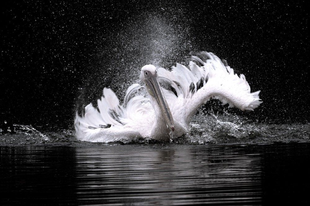 Фотография автора Jaidevsinh Rathod