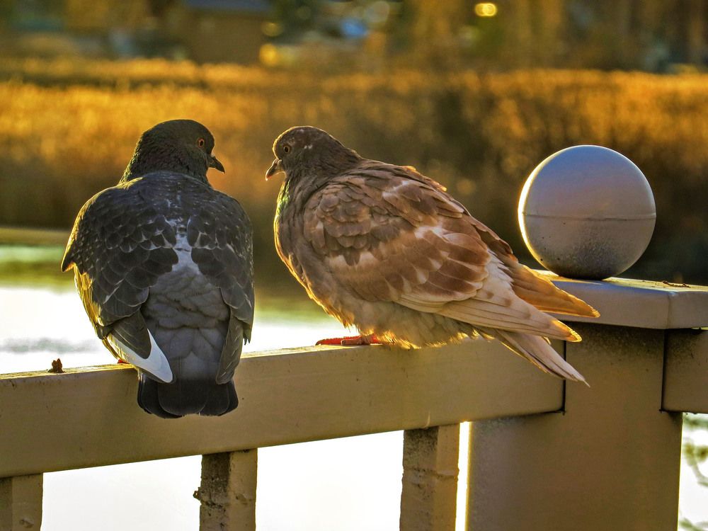 Photograph by Нина Будникова