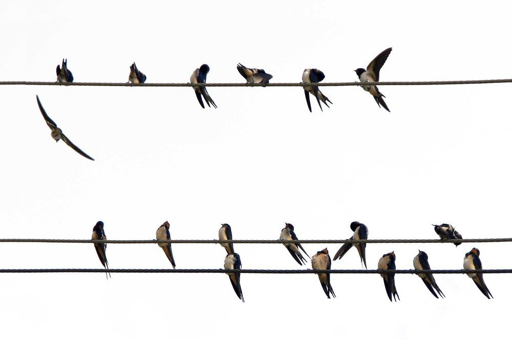 Photograph by Евгений Киселев