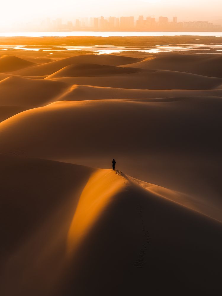 Photograph by 焦 搏