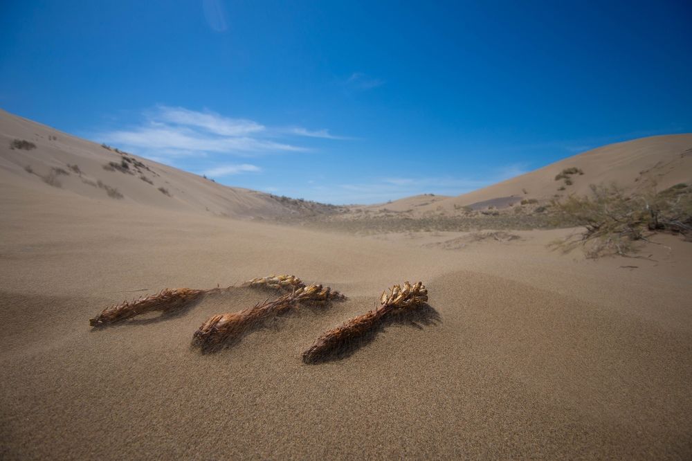 Photograph by Konstantin