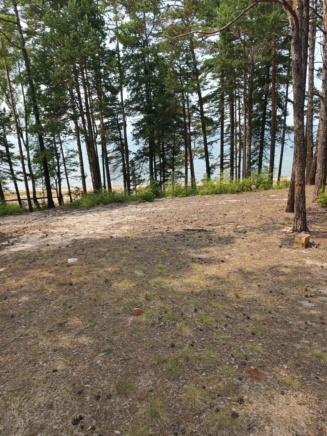 Photo #10857762